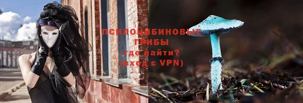 МДПВ Карталы