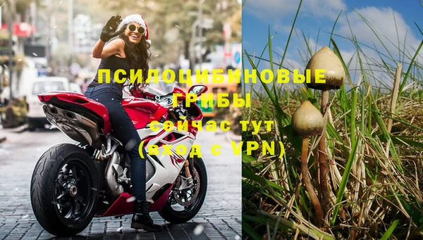 МДПВ Карталы
