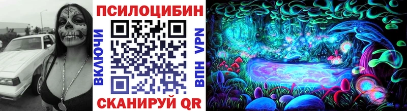 продажа наркотиков  Называевск  Галлюциногенные грибы Cubensis 